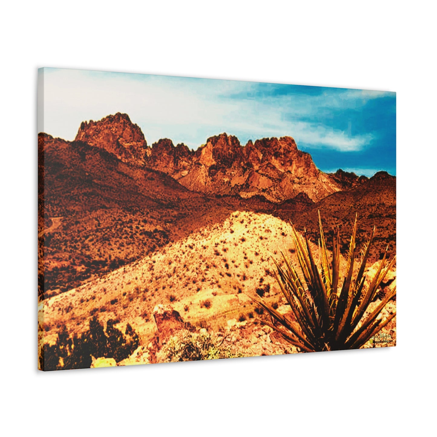 New Year's Day Summit, Arizona Desert Canvas Art Print, Geocache Decor, HappyCaching Prints