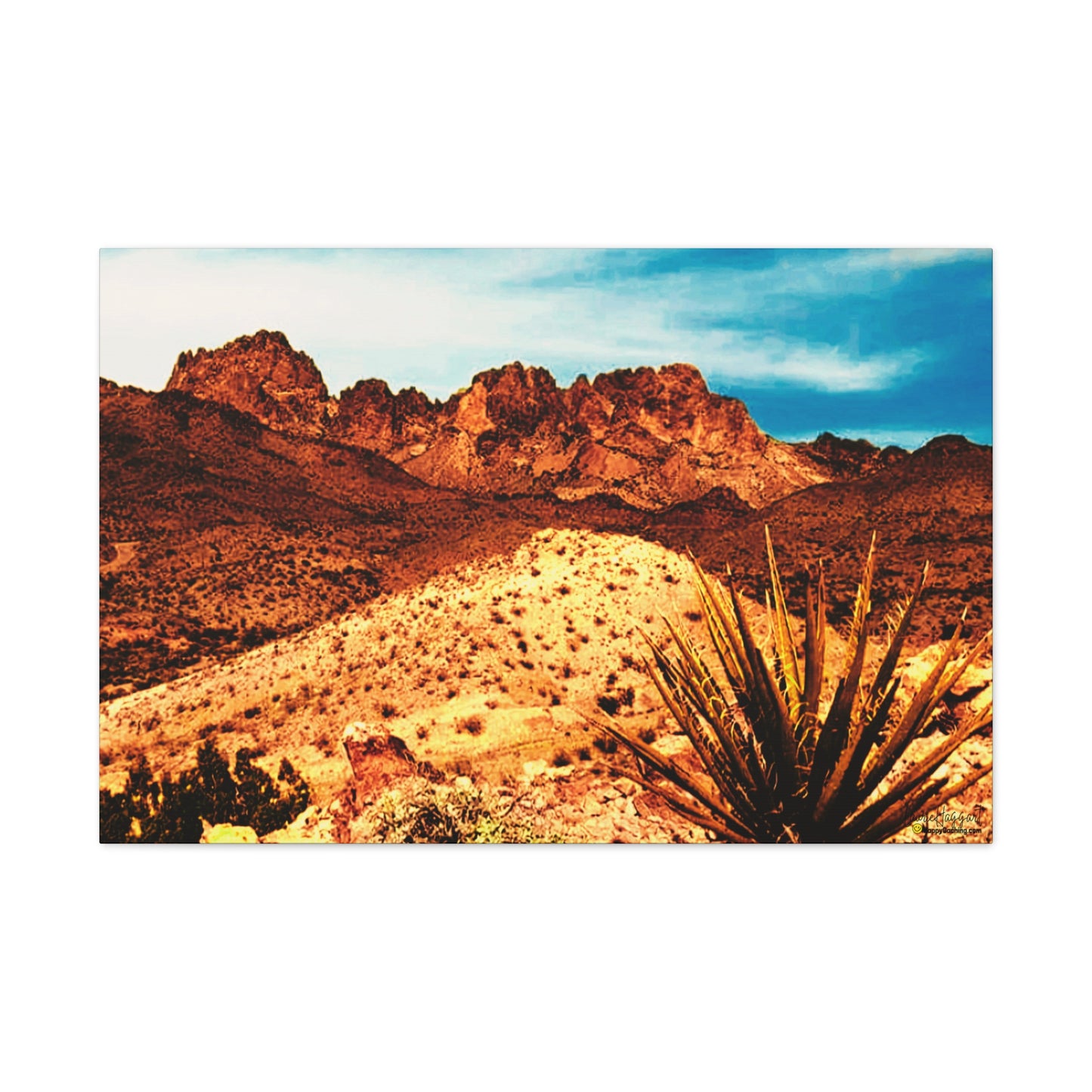 New Year's Day Summit, Arizona Desert Canvas Art Print, Geocache Decor, HappyCaching Prints