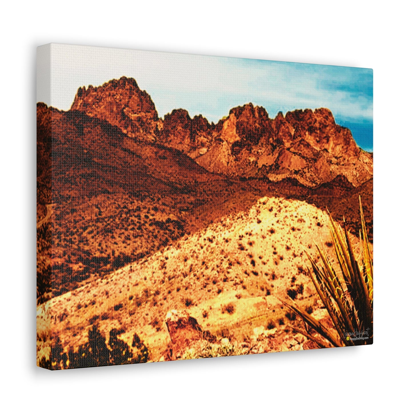 New Year's Day Summit, Arizona Desert Canvas Art Print, Geocache Decor, HappyCaching Prints